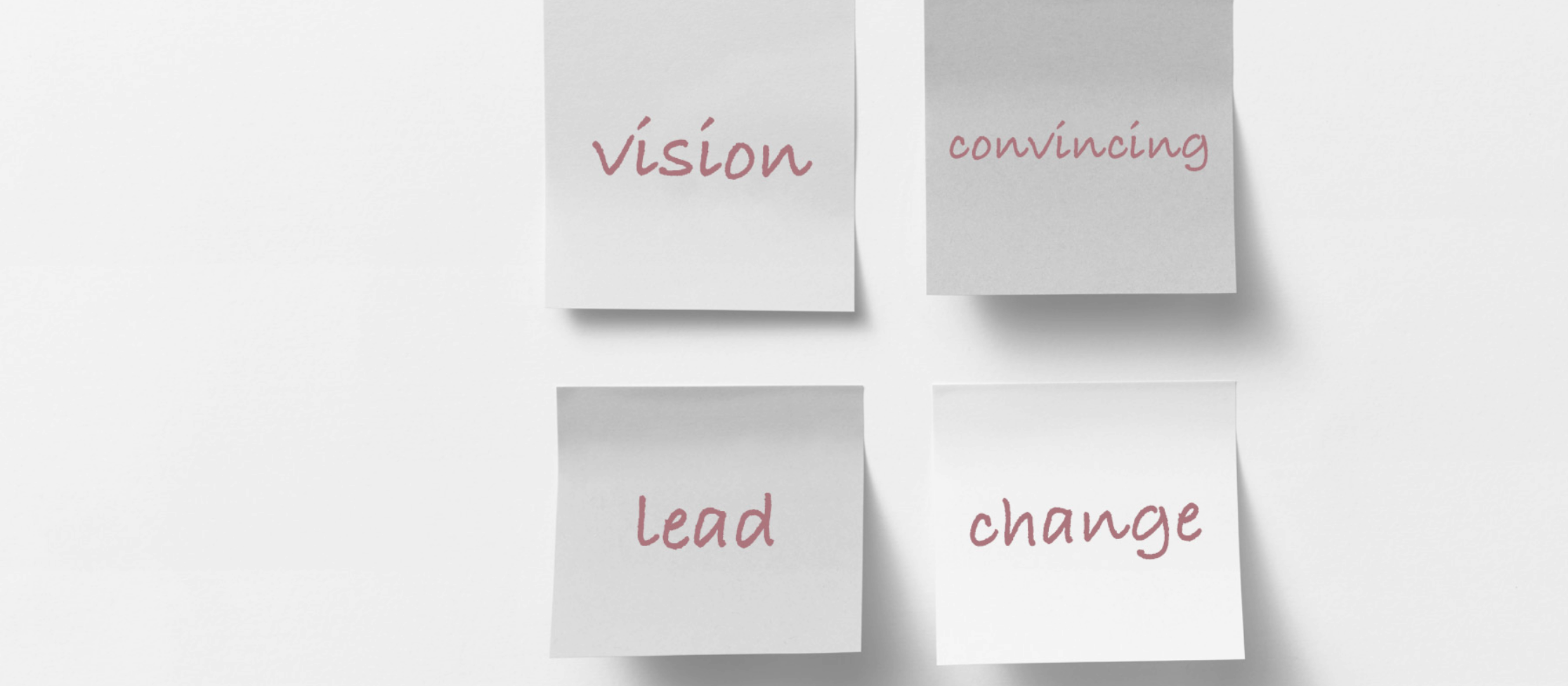 Leadership Coaching: Vision, lead, change, convincing