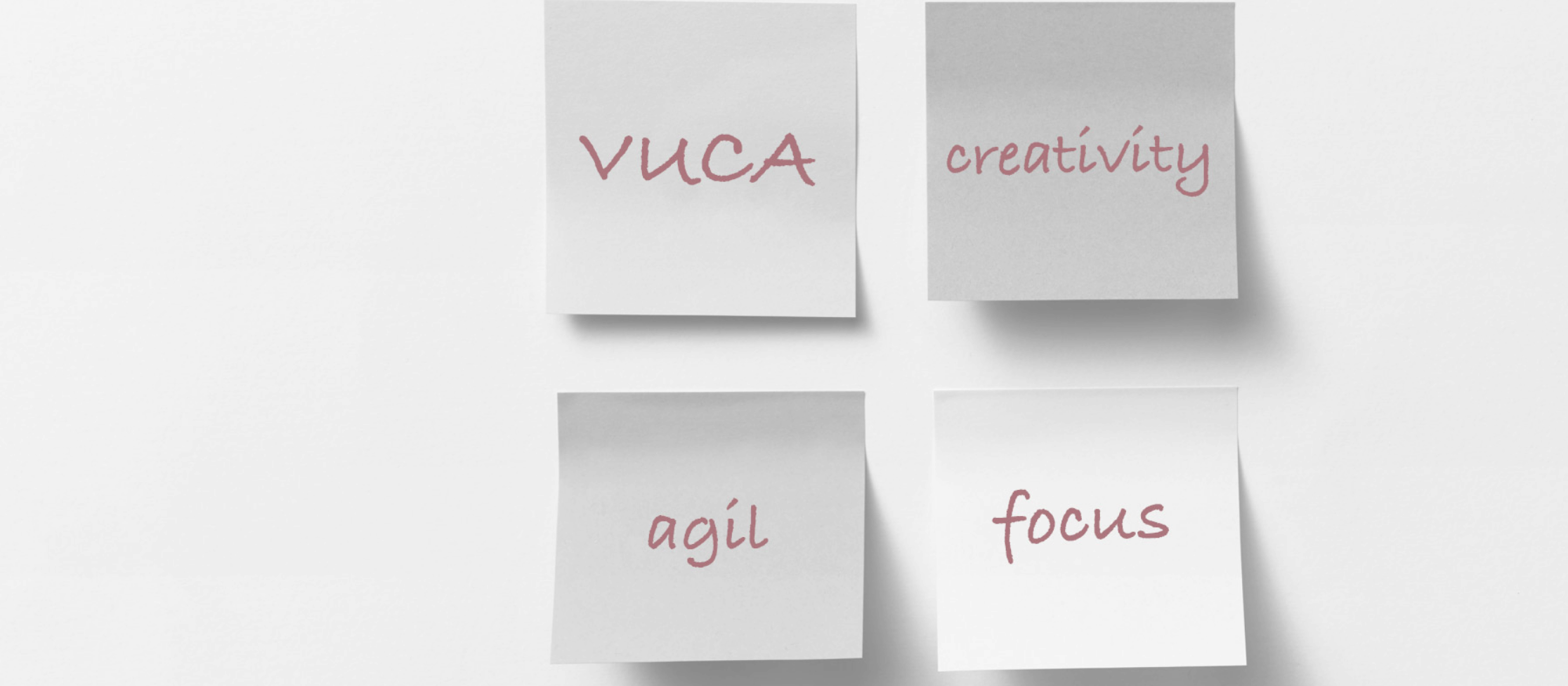 agil, creativity and focus on strategy coaching